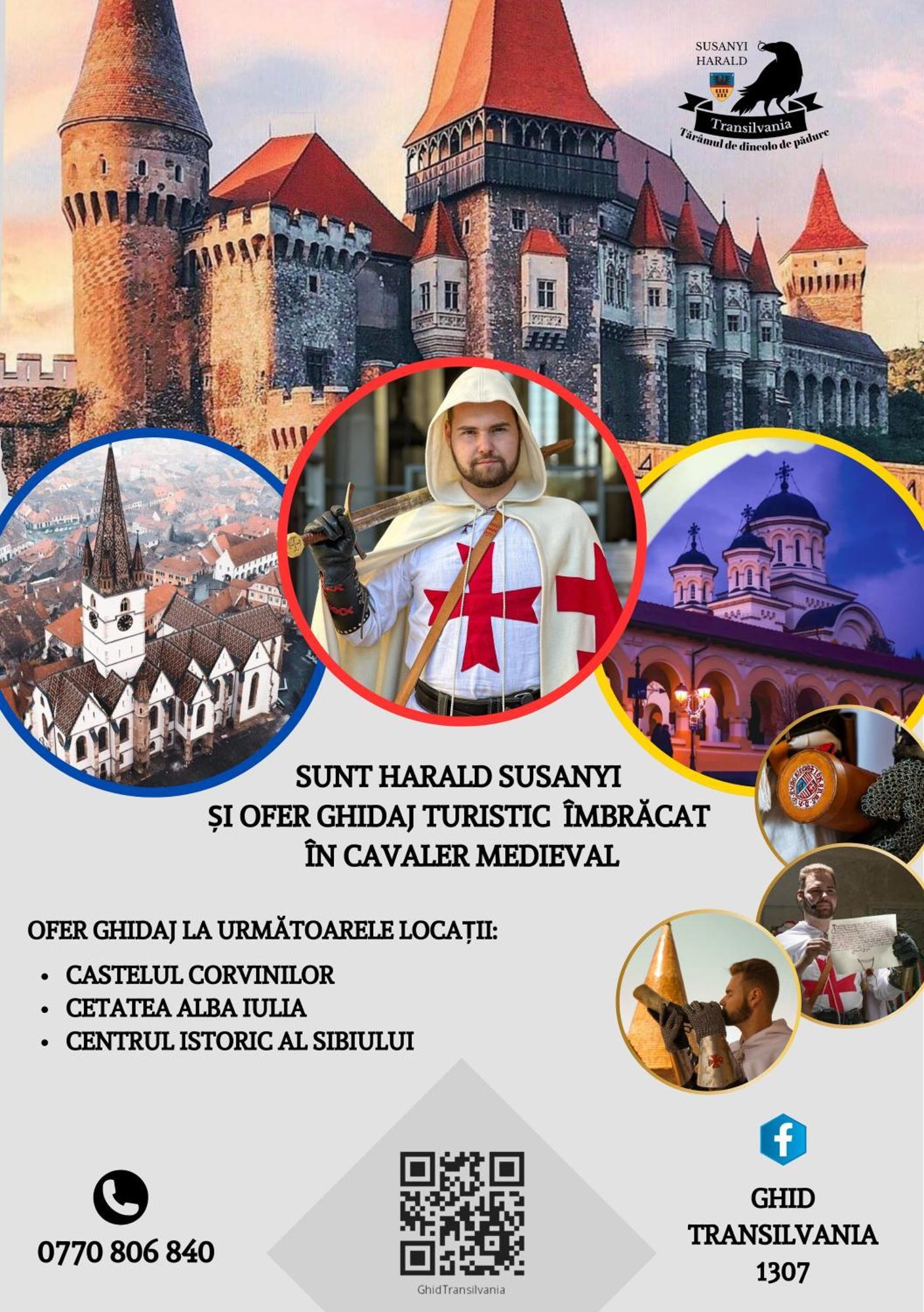 Pensiunea Hanul Huniazilor Hunedoara Exterior foto
